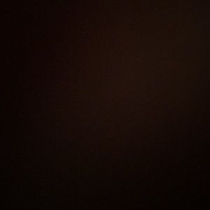 Meet your Posher, Audrey